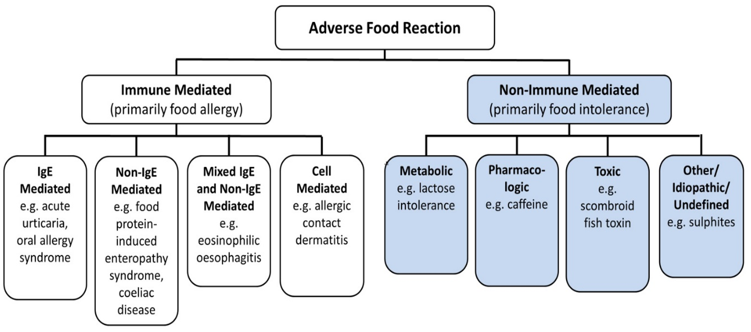 Food intolerance and allergies classification diagram