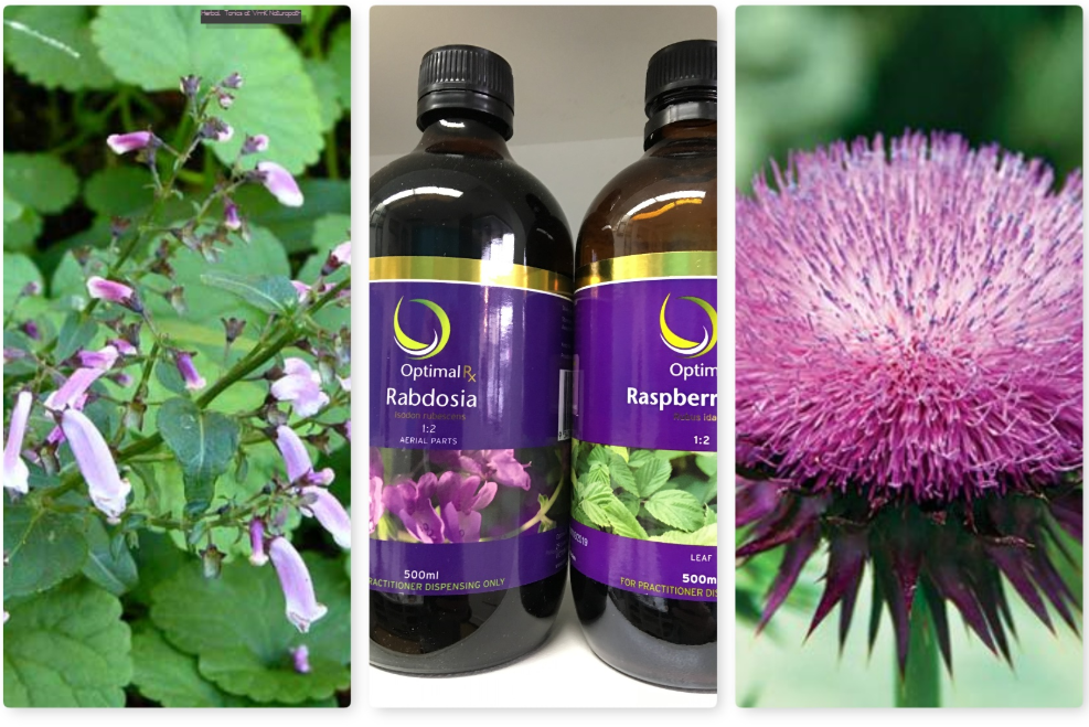 Herbal dispensary and natural remedies